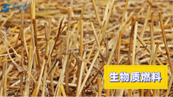 實驗電熱（rè）板HT-300：生物質燃燒中的砷消解測（cè）定