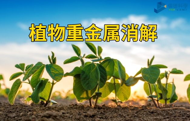 植物重金屬消解（jiě）