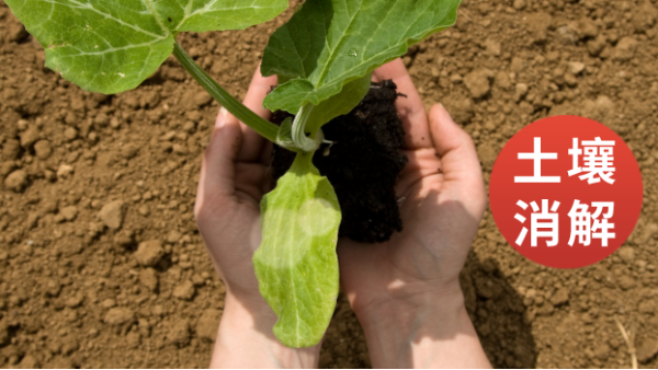 消解電熱板應用於（yú）土壤重金屬檢（jiǎn）測預處理的步驟操作