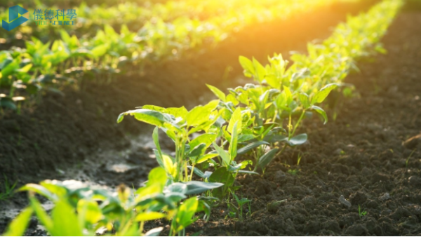 手持式RoHS測試儀在土壤重金屬汙染及修複的檢測應用