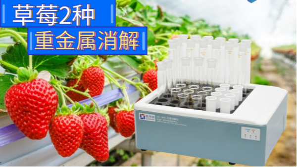 石墨消解（jiě）儀實驗分（fèn）析丨草莓有哪些重金屬需要注意