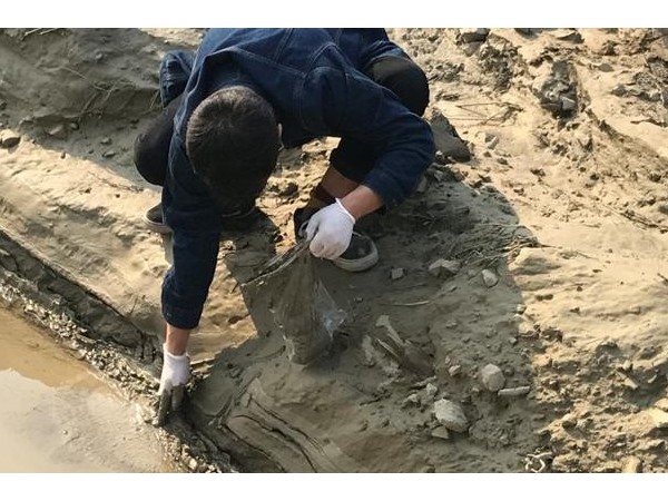 土壤和沉積物定量分析（xī）事例