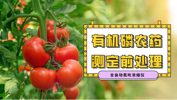 消解案例分享：全自動氮吹濃縮氮吹儀對有機磷農（nóng）藥殘留（liú）分析